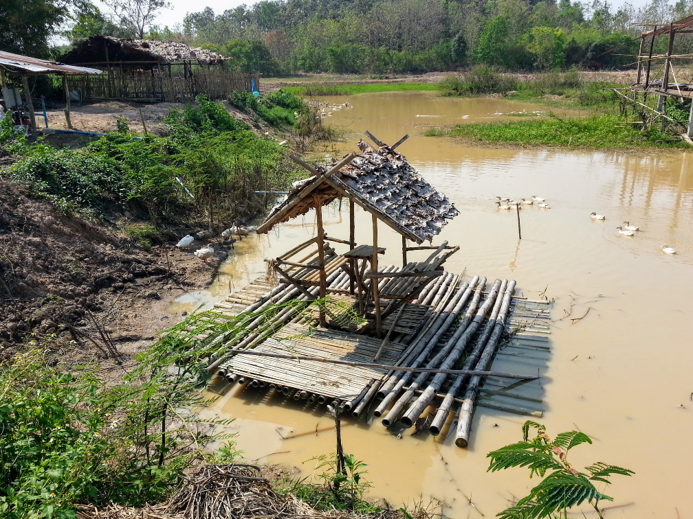 Rickety bamboo raft in muddy water.