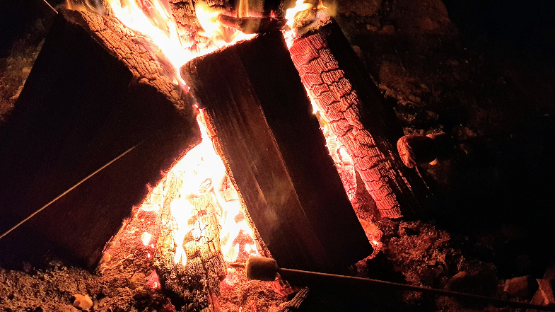 Burning Logs with flames clinging (upadana)
