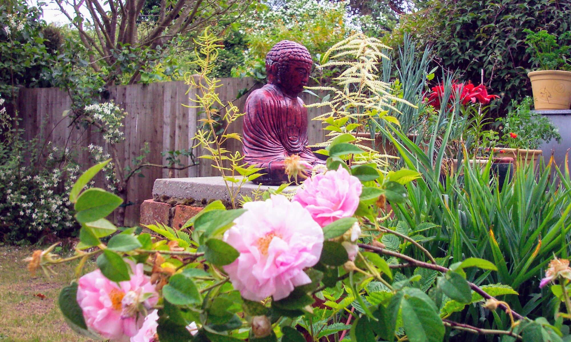 Buddha statue amongst Roses