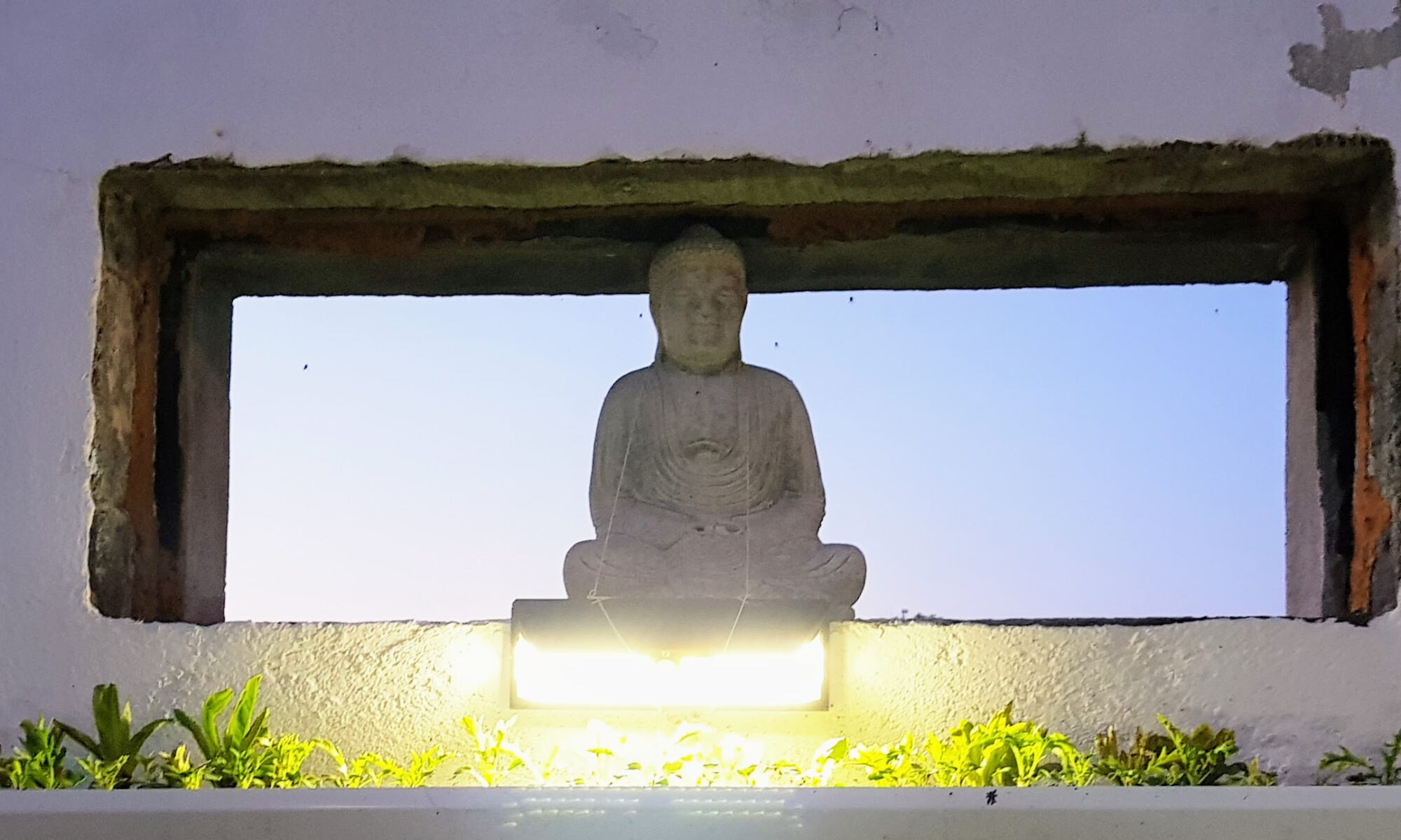 Image – ‘Buddha & Salad’ - Nalagiri House, Carrigahorig, County Tipperary, Ireland - July 2021